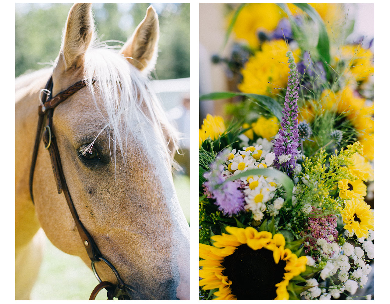 Horse and bouquet/wedding details